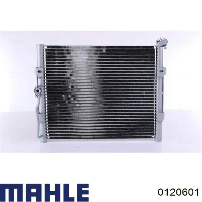 Купити 0120601 Mahle Original Поршень в комплекті на 1 циліндр, 2-й ремонт (+0,50)