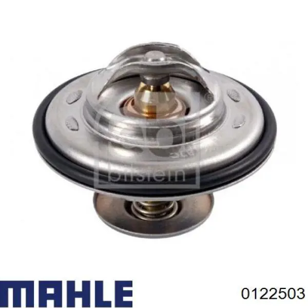 Купити 0122503 Mahle Original Поршень в комплекті на 1 циліндр, 2-й ремонт (+0,50)
