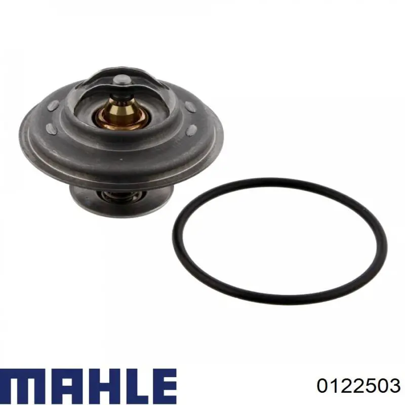 Поршень в комплекті на 1 циліндр, 2-й ремонт (+0,50) MAHLE 0122503