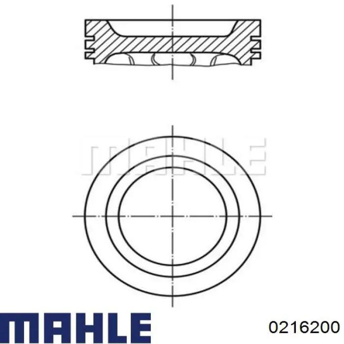 Поршень в комплекті на 1 циліндр, STD 0216200 Mahle Original