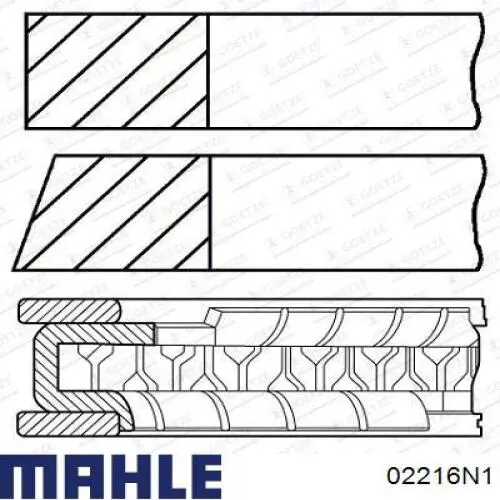 Купити 02216N1 Mahle Original Кільця поршневі на 1 циліндр, 2-й ремонт (+0,50)