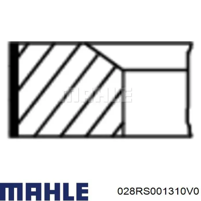  028RS001310V0 Mahle Original