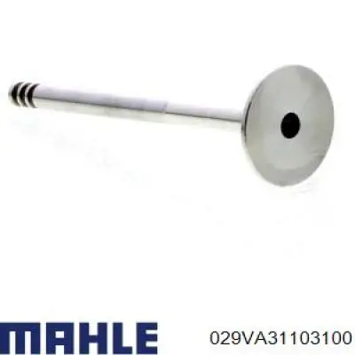 029VA31103100 Mahle Original Випускний клапан двигуна