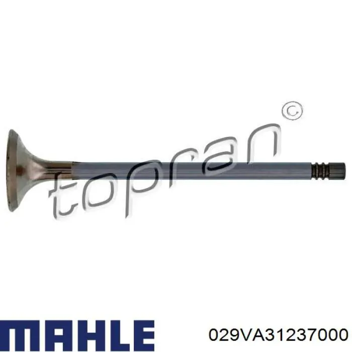 029VA31237000 Mahle Original Випускний клапан двигуна