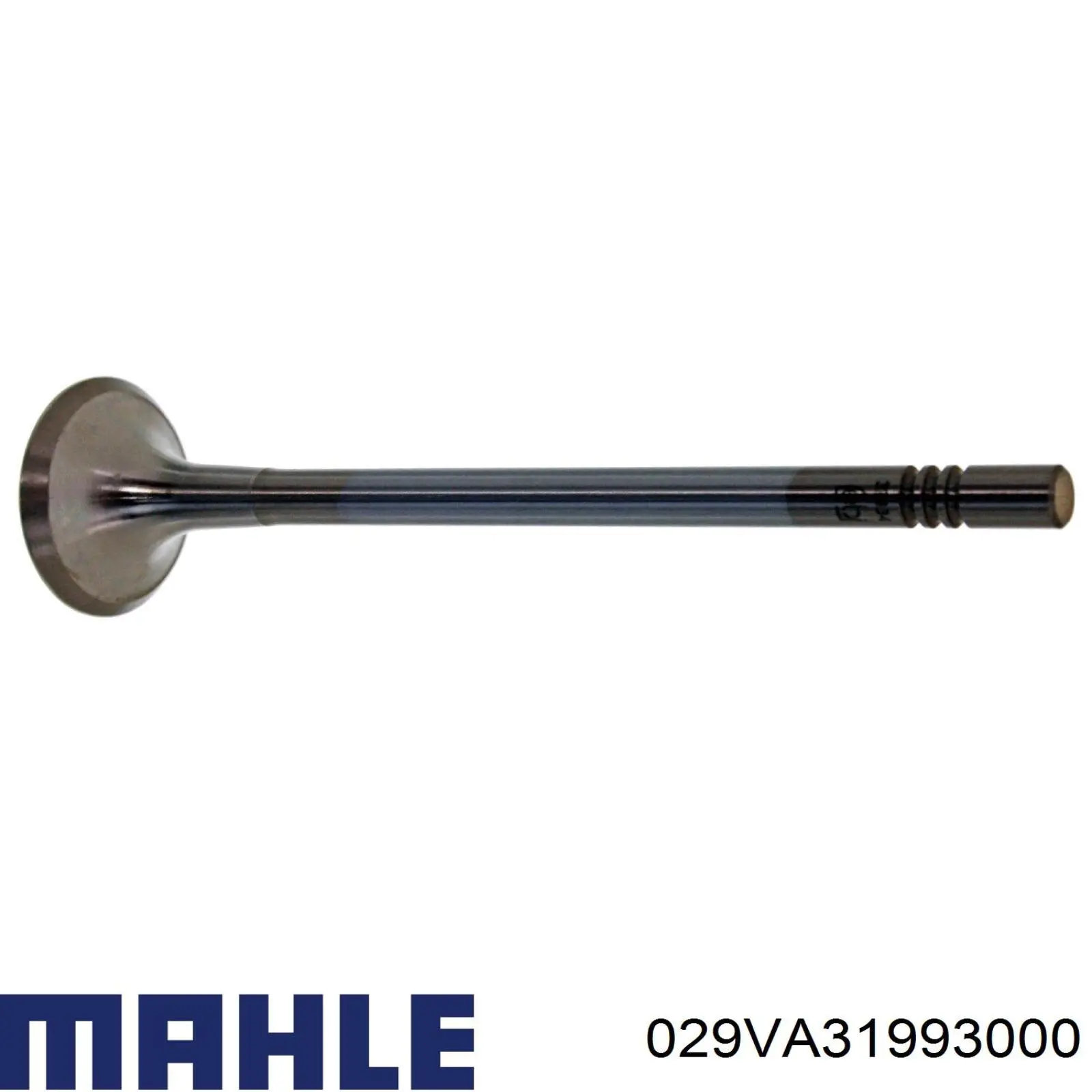029VA31993000 Mahle Original Випускний клапан двигуна