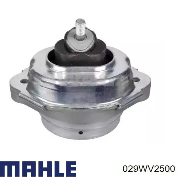 Гільза поршнева Mahle Original 029WV2500 ціна, від 25.31 USD