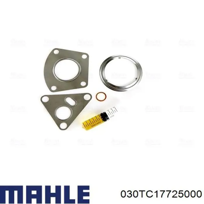 030TC17725000 Mahle Original Турбонаддув