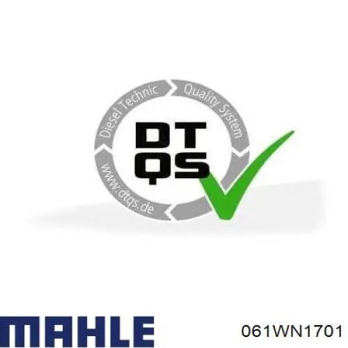 061WN1701 Mahle Original Гільза циліндра