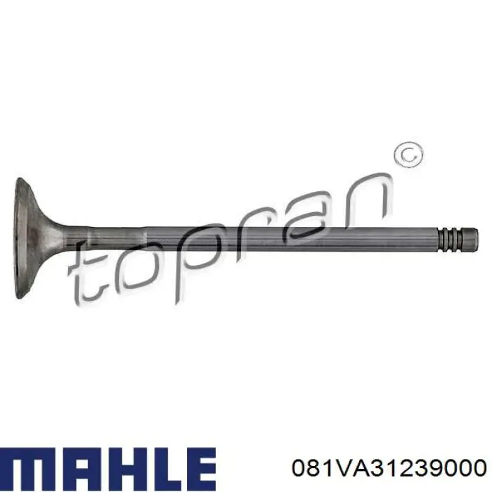 081VA31239000 Mahle Original клапан випускний