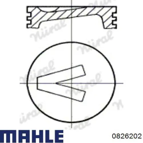 0826202 Mahle Original поршень в комплекті на 1 циліндр, 2-й ремонт (+0,50)