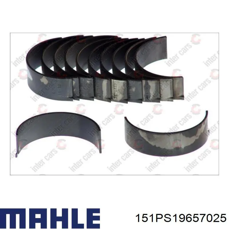 Купити 151PS19657025 Mahle Original Вкладиші колінвала, шатунні, комплект, 1-й ремонт (+0,25)