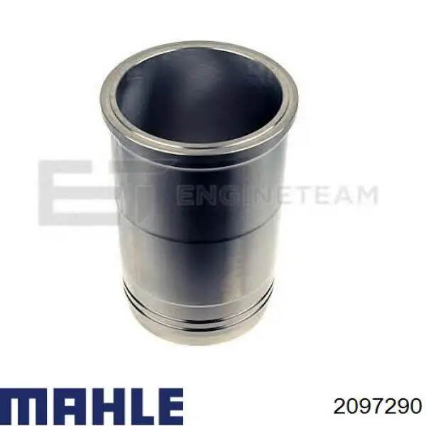  2097290 Mahle Original