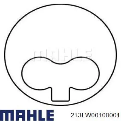 Гільза поршнева 213LW00100001 Mahle Original