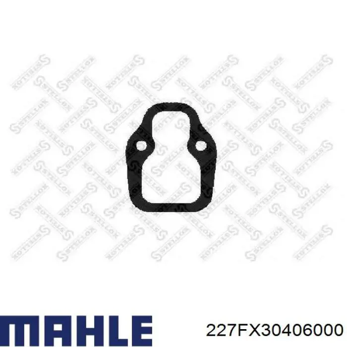 Купити 227FX30406000 Mahle Original Направляюча клапана