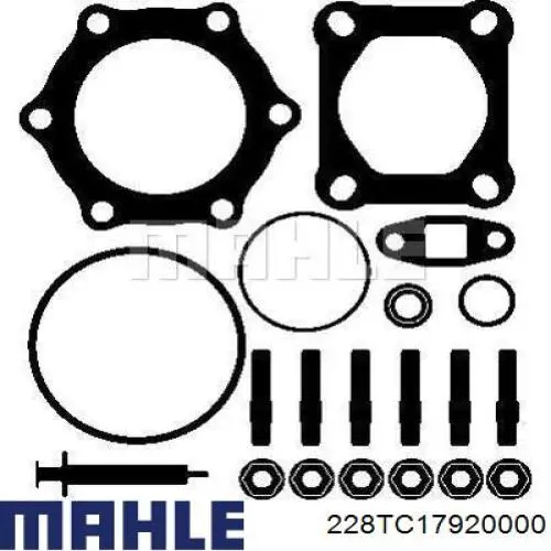 228TC17920000 Mahle Original турбіна