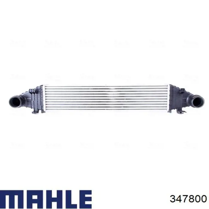 Поршень в комплекті на 1 циліндр, STD 347800 Mahle Original