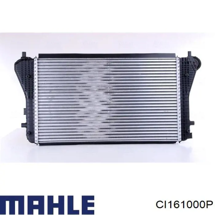  CI161000P Mahle Original