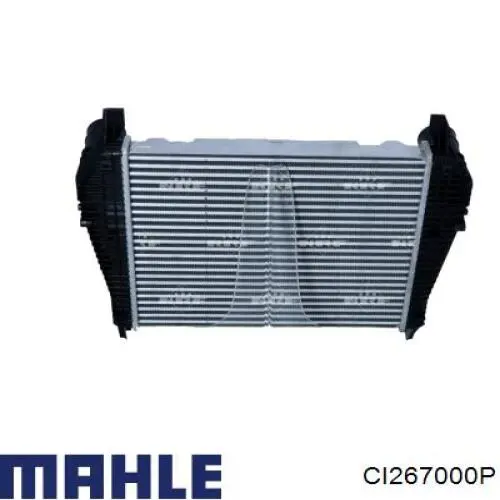  CI267000P Mahle Original