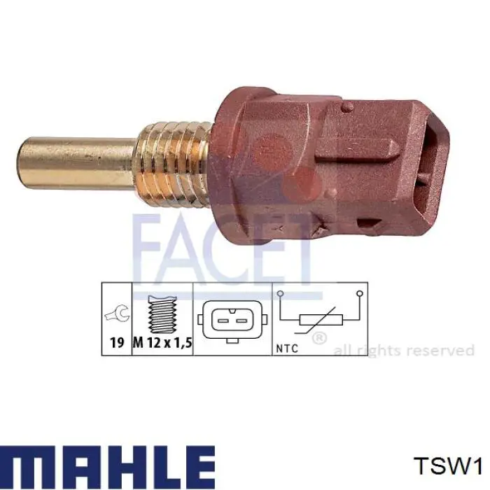  TSW1 Mahle Original