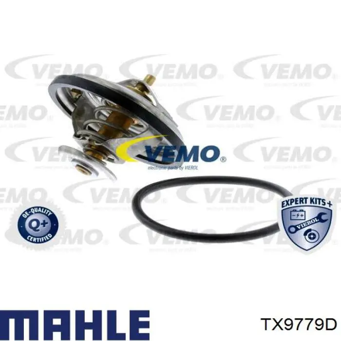 Термостат D2IV004TT Thermotec