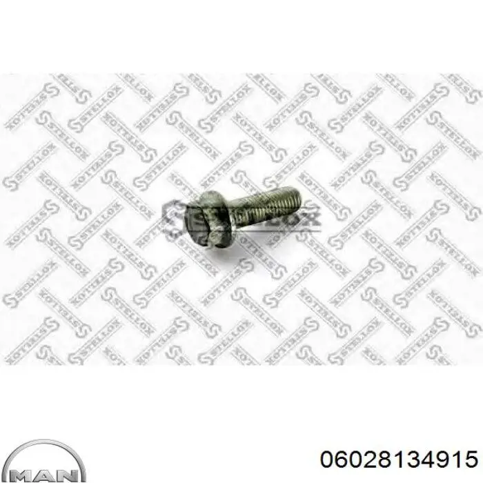 Купити 06028134915 MAN Болт кріплення скоби кардана