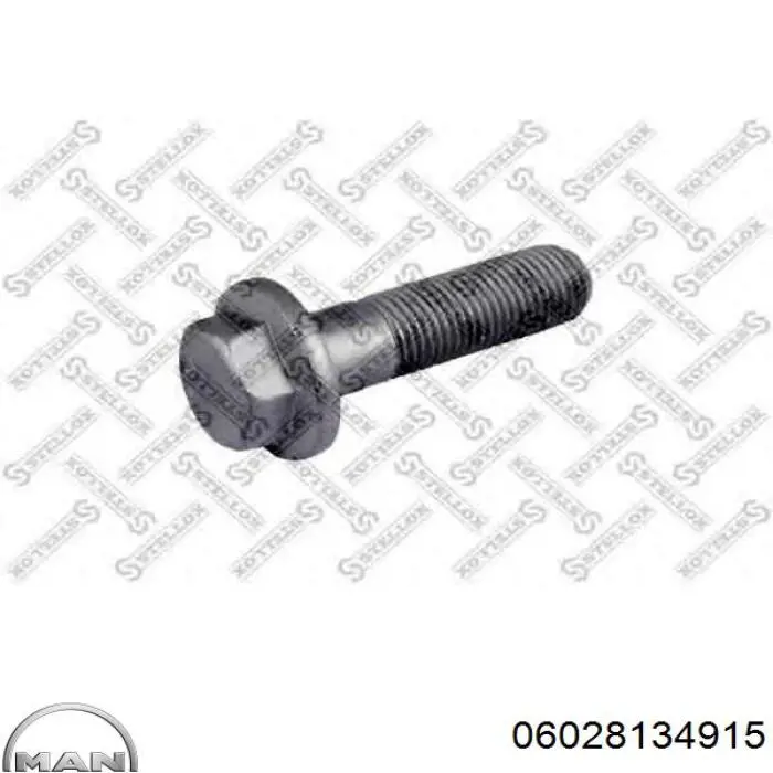 Болт кріплення скоби кардана MAN 06028134915 ціна, від 2.55 USD