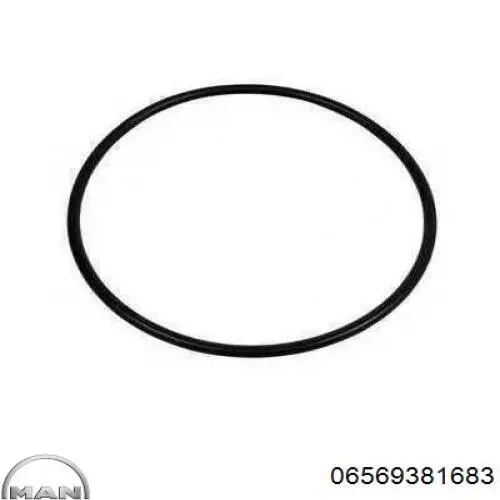 Купити 06569381683 MAN Ущільнювальне кільце, універсальне
