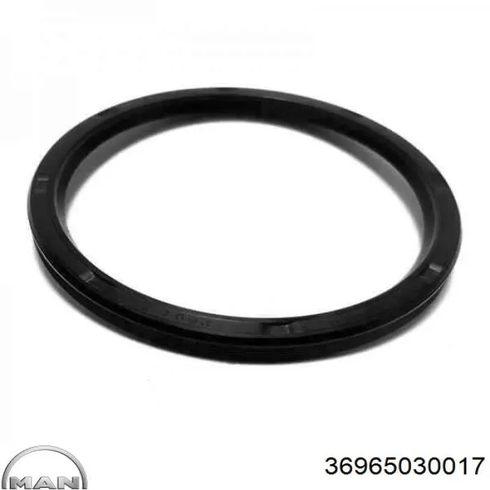 Сальник задньої маточини Corteco 19036823B ціна, від 39.05 USD