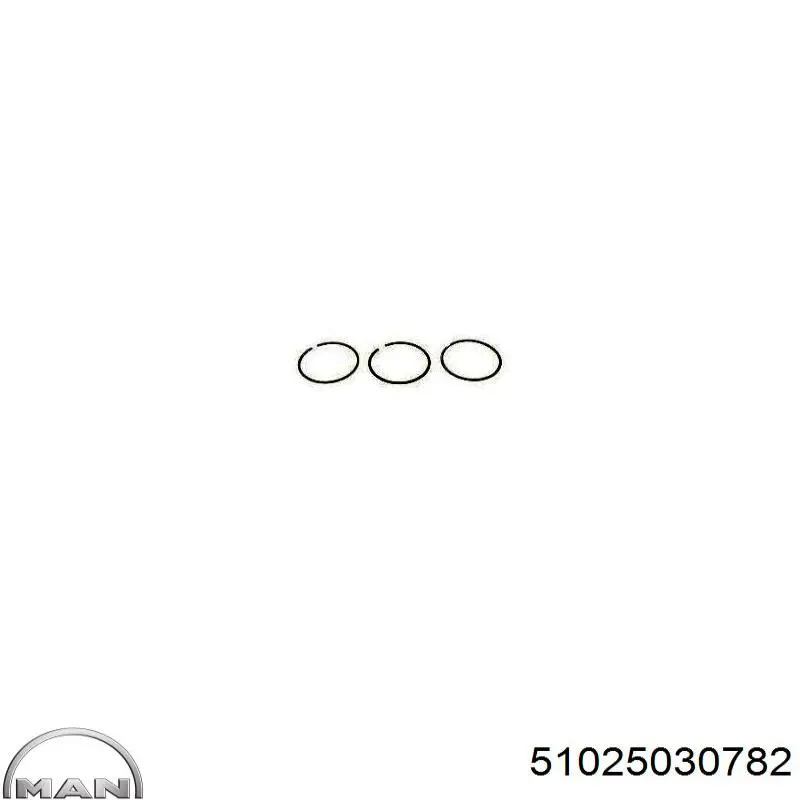 Купити 51025030782 MAN Кільця поршневі на 1 циліндр, STD.