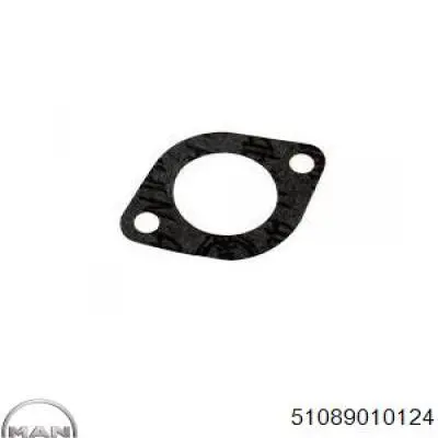 Купити 51089010124 MAN Прокладка колектора