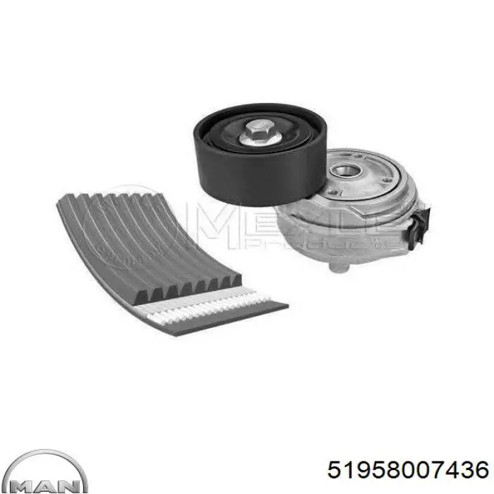 Натягувач приводного ременя MAN 51958007436 ціна, від 74.36 USD