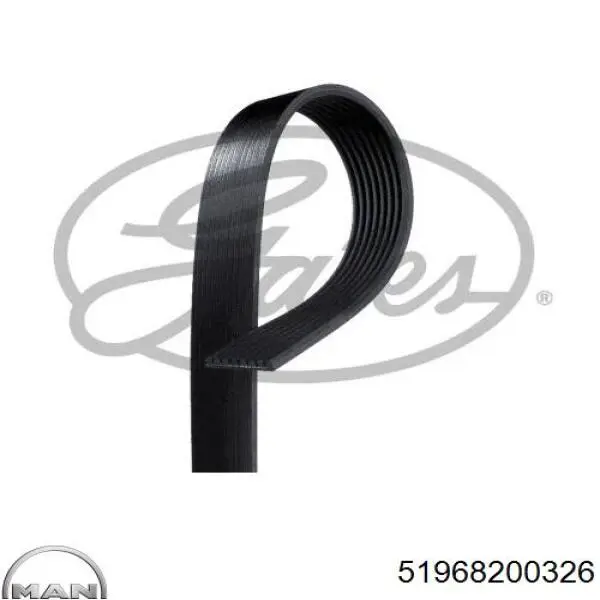 Клиновий ремінь MAN 51968200326 ціна, від 13.79 USD