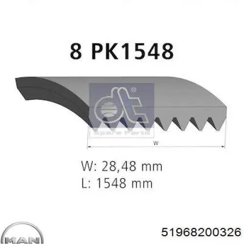 Купити 51968200326 MAN Ремінь генератора