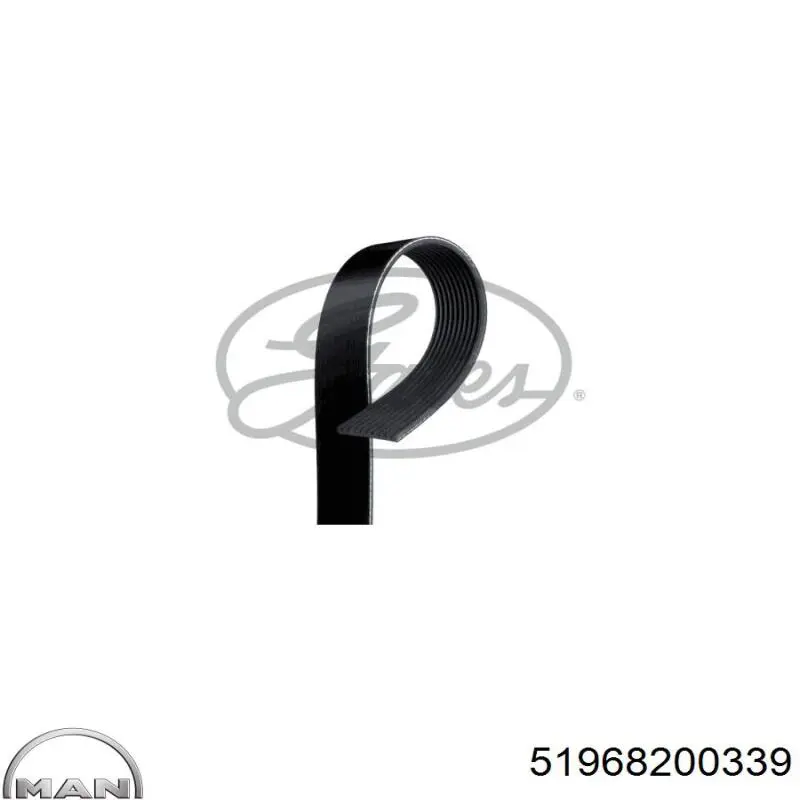 Клиновий ремінь MAN 51968200339 ціна, від 29.32 USD