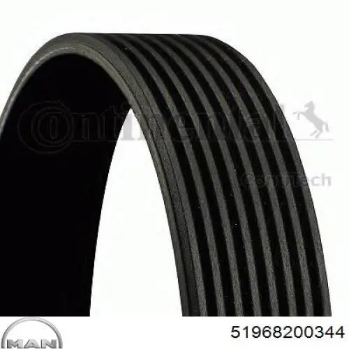 Клиновий ремінь MAN 51968200344 ціна, від 10.56 USD