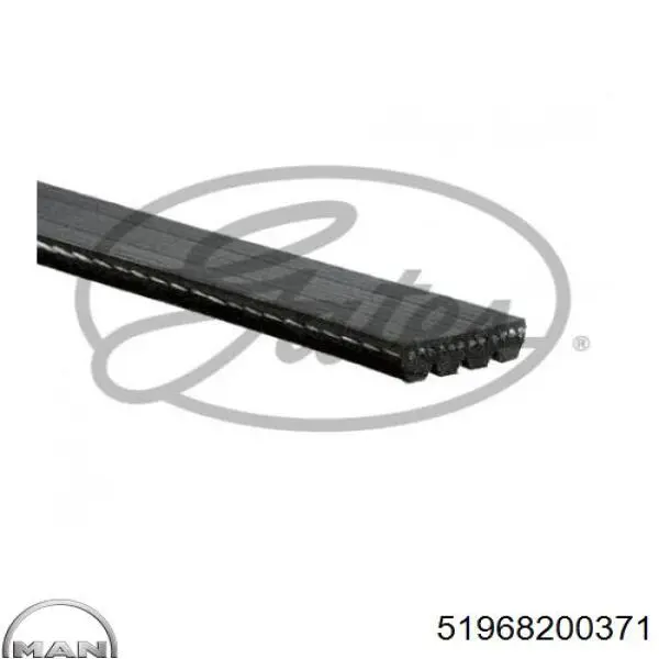 Клиновий ремінь Gates 4PK1389HD ціна, від 12.83 USD