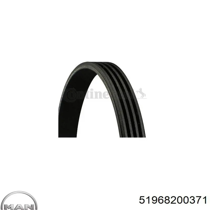 Клиновий ремінь MAN 51968200371 ціна, від 12.88 USD