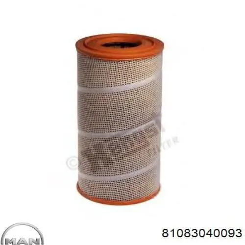 AF25899 Fleetguard Повітряний фільтр двигуна