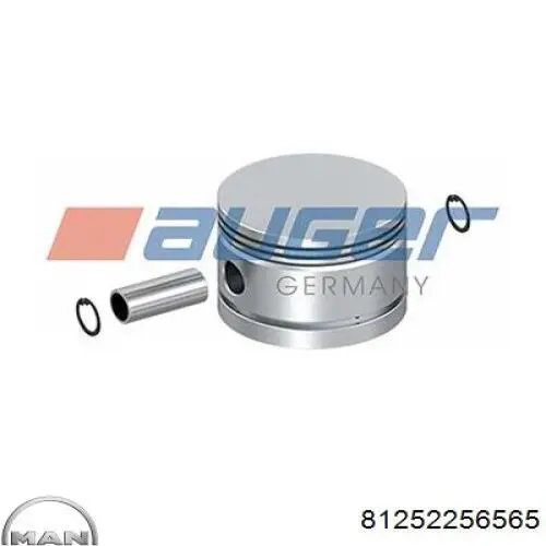 Купити 81252256565 MAN Лівий стоп