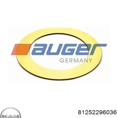  MAN 81252296036