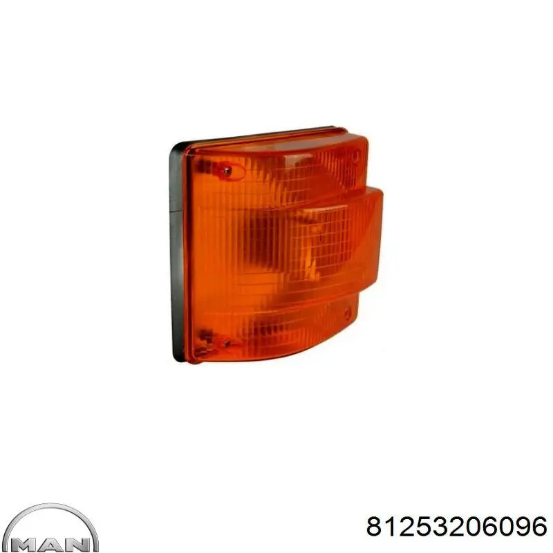 Купити 81253206095 MAN Поворотник