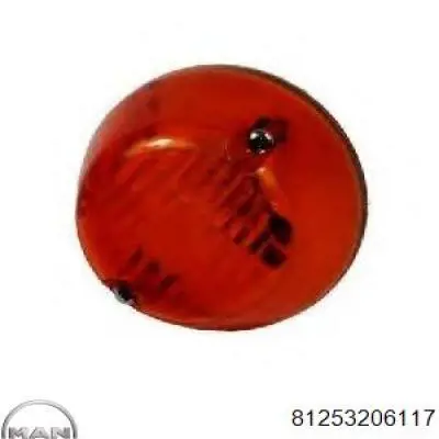 Купити 81253206117 MAN Поворотник