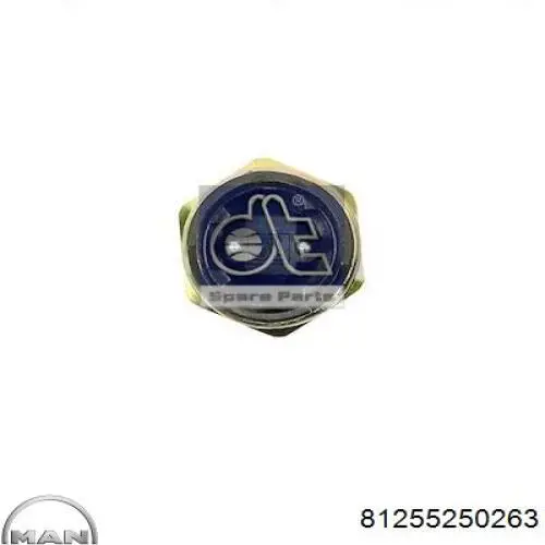 Купити 81255250263 MAN Вмикач ліхтарів заднього ходу