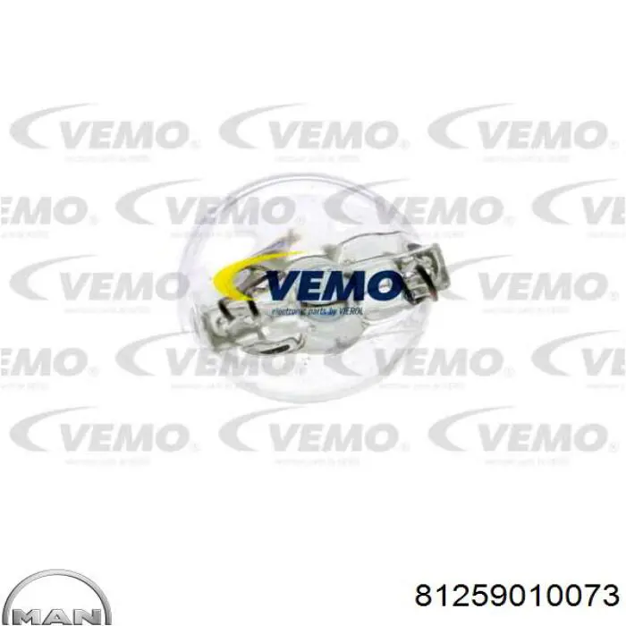 Купити 81259010073 MAN Лампочки