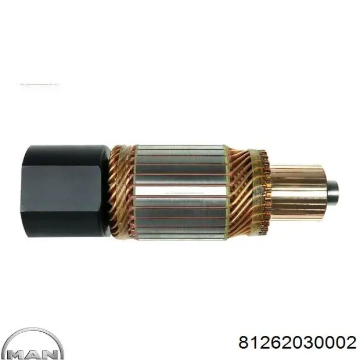 Якір стартера MAN 81262030002 ціна, від 57.27 USD