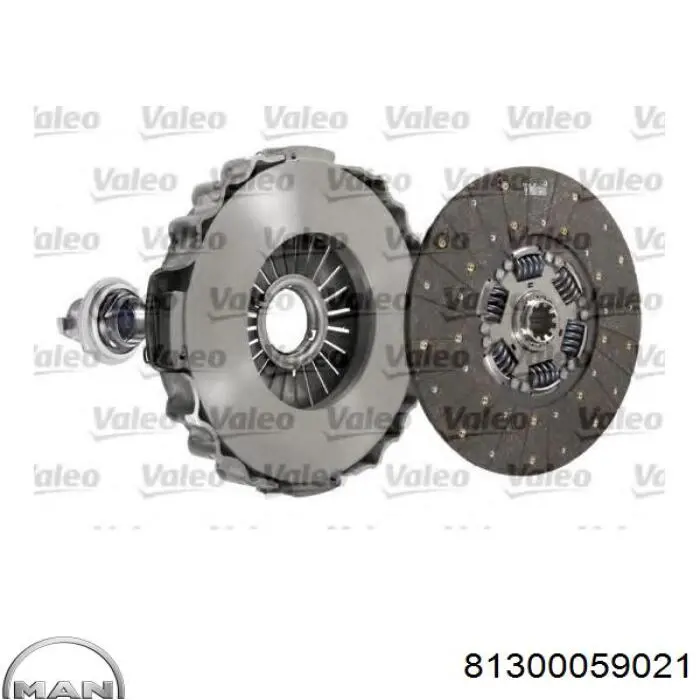 Купити 81300059021 MAN Комплект зчеплення (диск, корзина, підшипник)