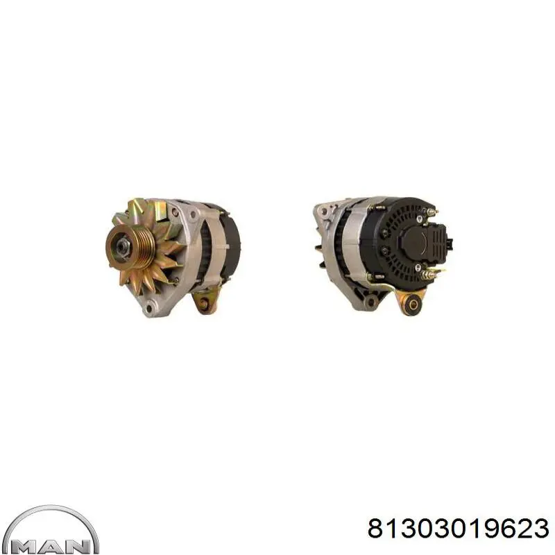 Зчеплення MAN 81303019623 ціна, від 187.75 USD