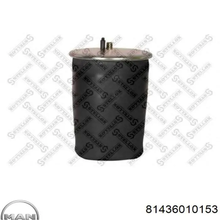 81436010153 MAN Ресора пневматичної підвіски