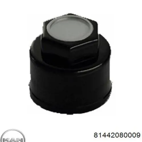 81442080009 MAN Ремкомплект шкворня поворотного кулака