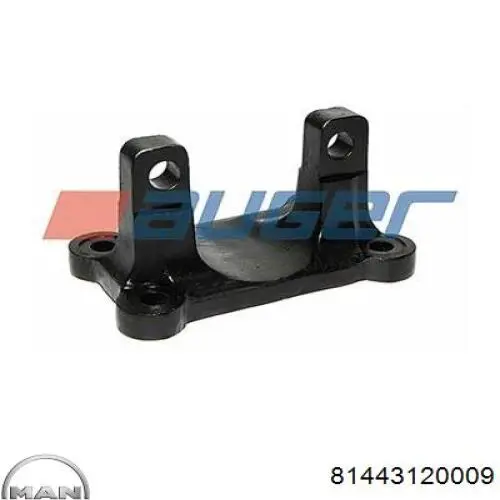 Заглушка маточини 81443120009 MAN